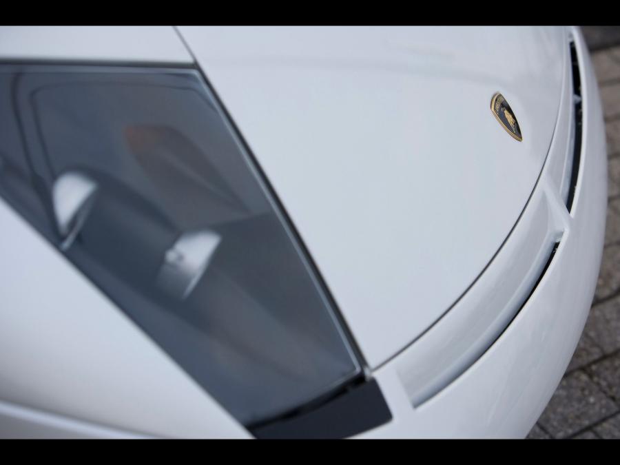  Lamborghini Murcielago GTR by IMSA 2008 года  (фото 6 из 19)